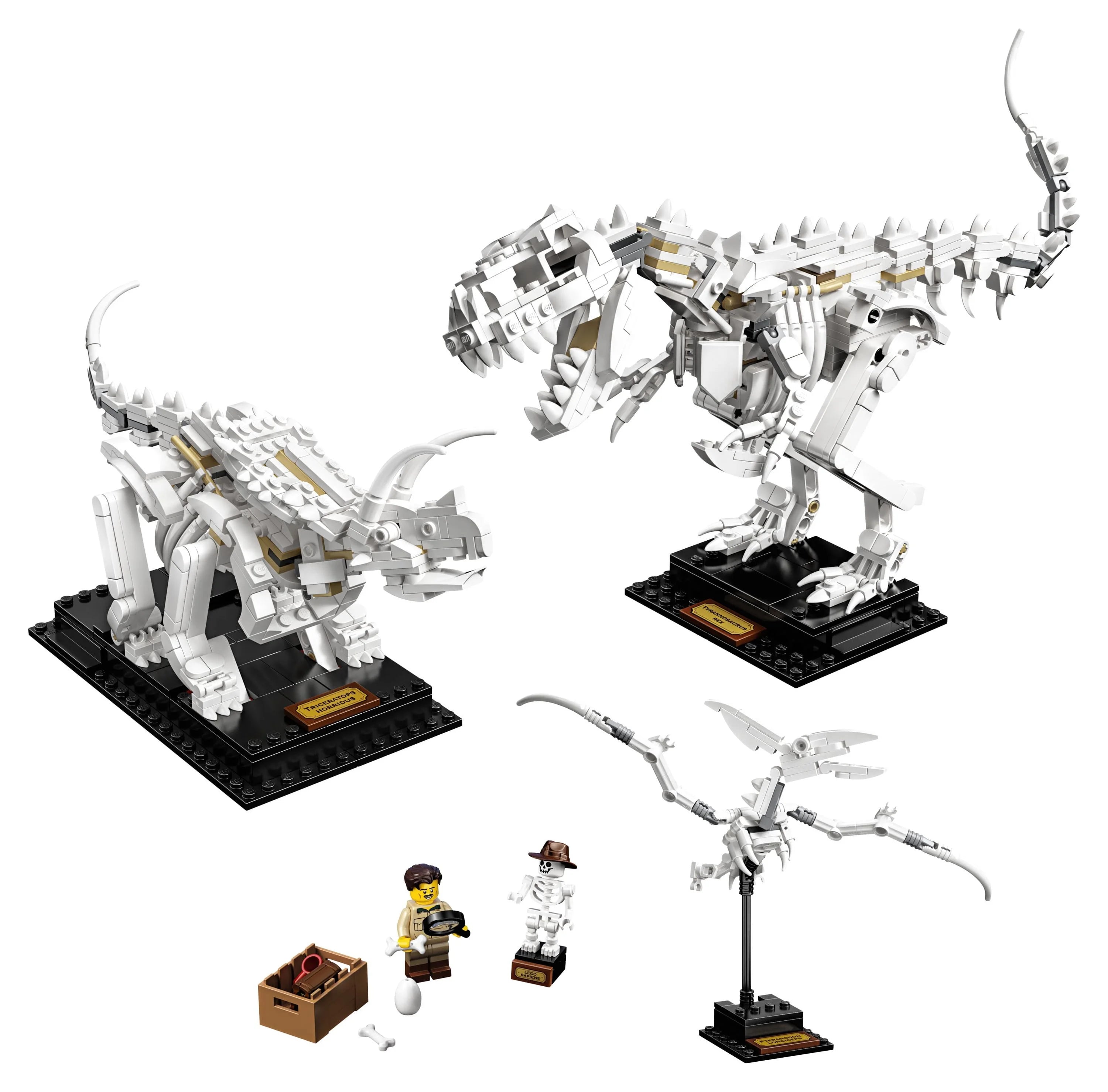 LEGO Ideas 21320 Fossiles de dinosaures – Jeu de construction (910 pièces)